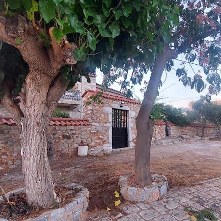 200 Year Old 'Kamara Suite' With Private Garden Pírgos Dhiroú 외부 사진